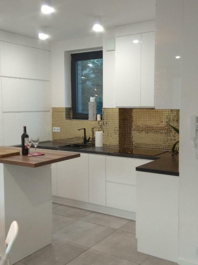 Luxury Apartment With Own Parking Chorzow Bagian luar foto